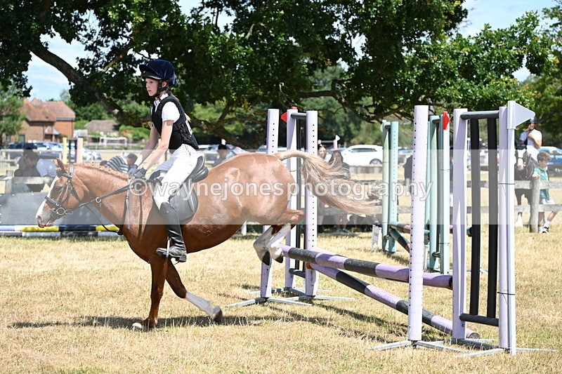 WJ6_5914 - Class 13 Novice 60cm