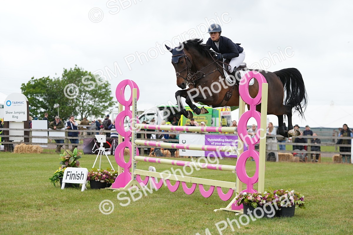 SBM_05221 - Class 201 - British Horse Feeds Speedi Beet Horse of the Year Show Grade  C