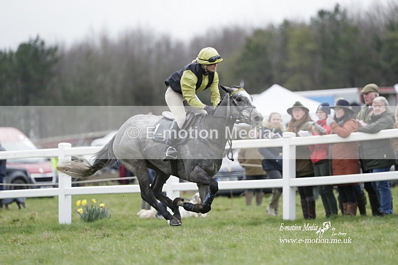 PtP 260323 0209 - New Forest Hounds Point-to-Point Larkhill 26/03/23