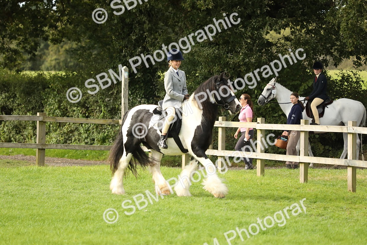 SBM_71478 - S41 - Ridden Equitation (Best Rider)