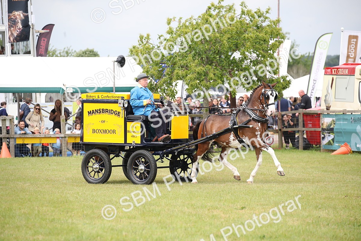 SBM_07069 - Class 16 - Light Trade