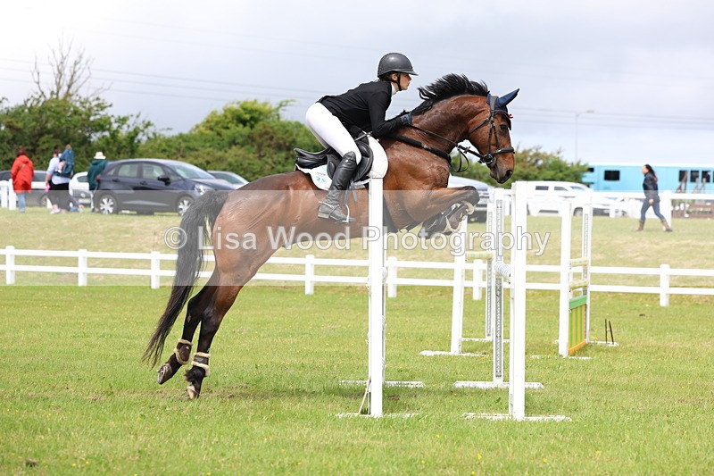 3E7A7091 - Class 12: Senior Foxhunter/1.20 open