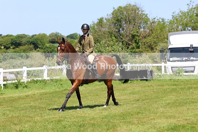 3E7A7247 - Class 30: Novice Working Hunter