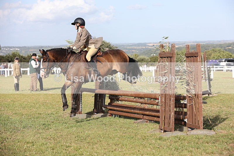 JPP_3219 - Class 21: Working Hunter 80cm