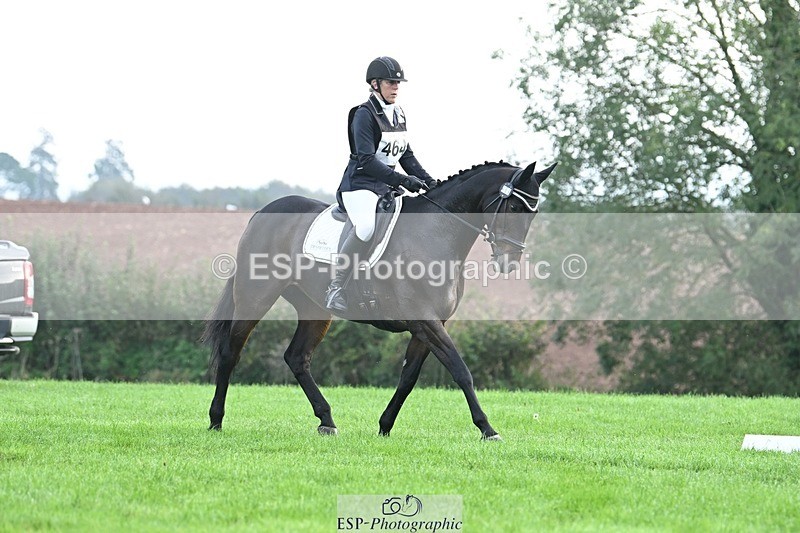 231020-094354-05741 - 464-IMPERIAL.TANGLE-Deborah.Burrell-DR