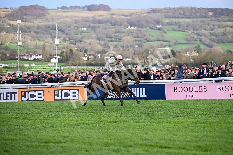 130326-Race 5-Gaelic Warrior-2614 - 13th March
