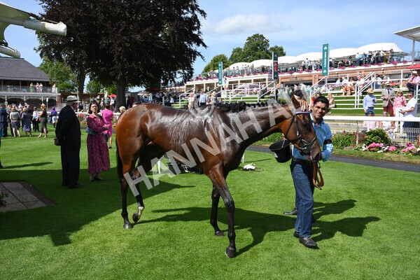 yr09072022r4-43 - Race 4 3.30pm John Smith's Nursery Stakes