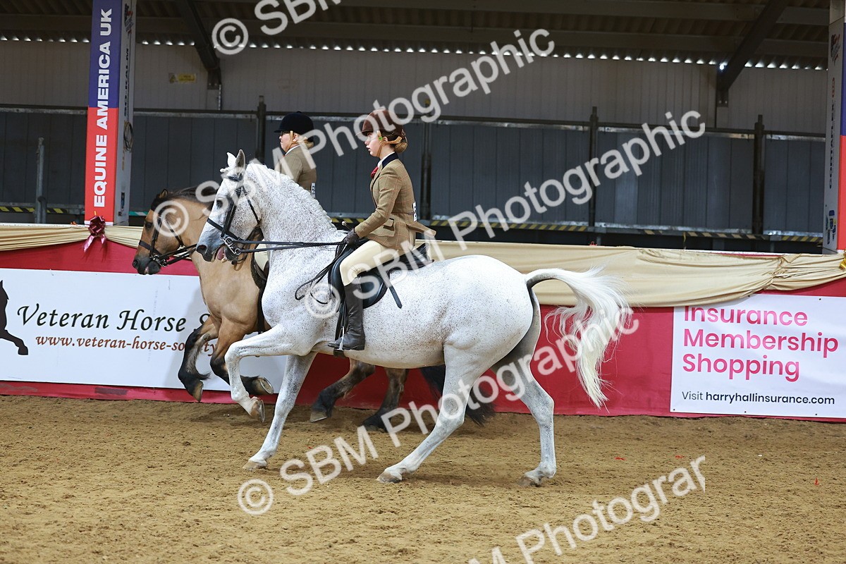 SBM_09442 - Class 102 - HOYS Veteran Qualifier - Ridden Veteran