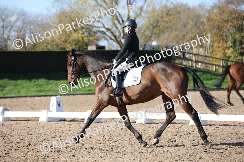 20251102-0866 - Class 5 - Elementary 5