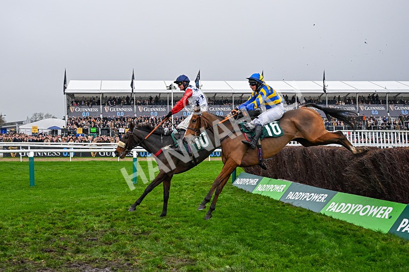 151125-Race 2-Hung Jury-2838 - Race 2