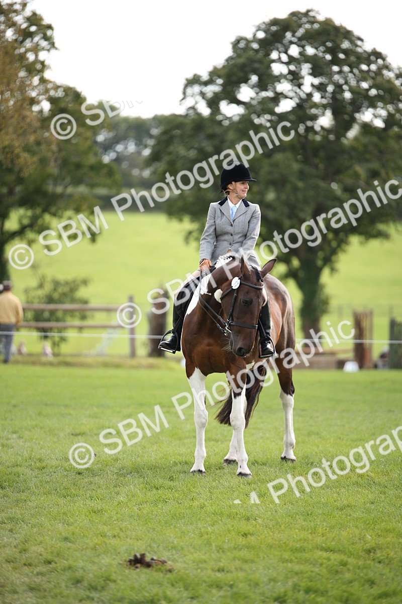 SBM_50197 - S26 - Young Veteran - Ridden