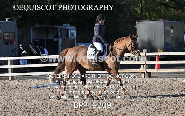BPP_9209 - SHORT ARENA