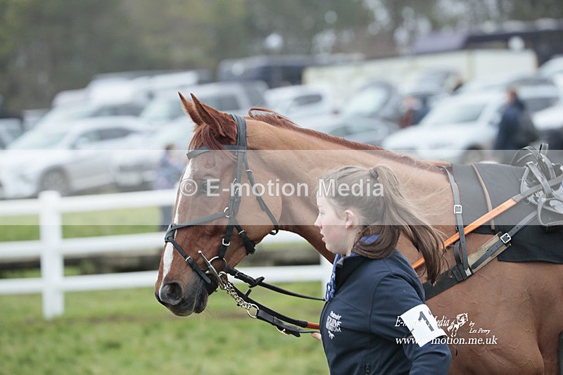 PtP 041222 0736 - Larkhill Racing Club Point-to-Point Larkhill 01/01/23