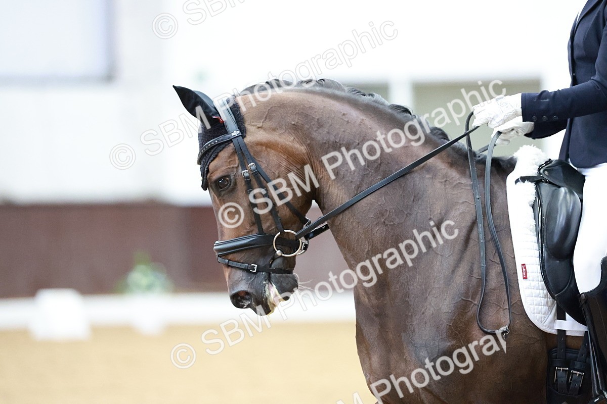 SBM_017822 - Class 15 - FEI Junior