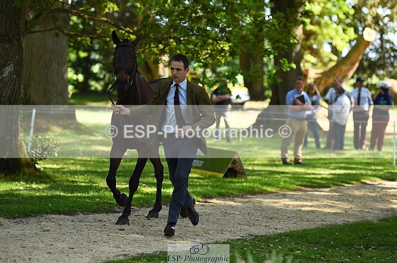 230524-155024-00533 - 380-PUBLIC_ADDRESS-Tom_Strawson-WEDTrotUp+DR