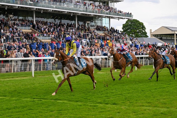 140624-Race 5-Ron O-4865 - Race 5 4.10pm Juddmonte EBF Fillies Restricted Novice Stakes