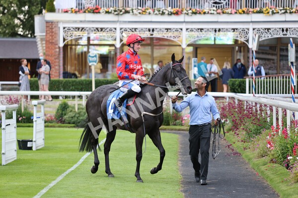 yr23072021r6-25 - Race 6 8.30pm Sky Bet Go-Racing-In-Yorkshire Summer Festival Stakes