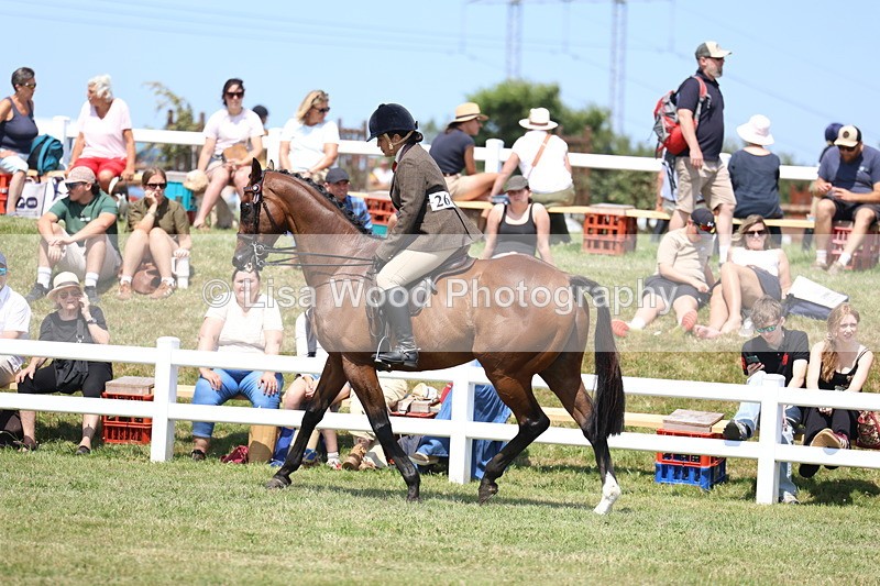 3E7A9410 - Class 12: Open Racehorse to Show Horse
