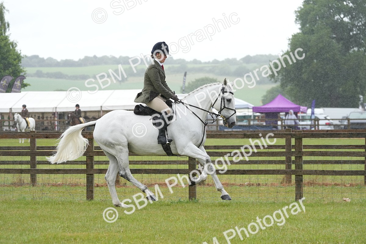 SBM_12682 - Class 97-98 - LIHS BSHA Rising Star Working Show Horse Hunter