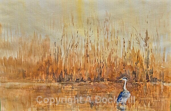 Heron - Watercolours