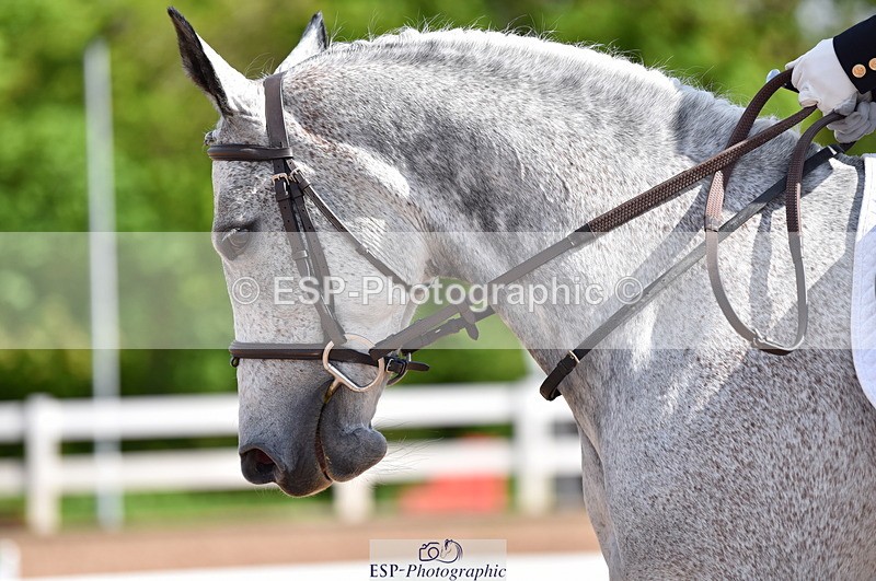 230511A-095401-00143 - BD Cls 2 Prelim 17A