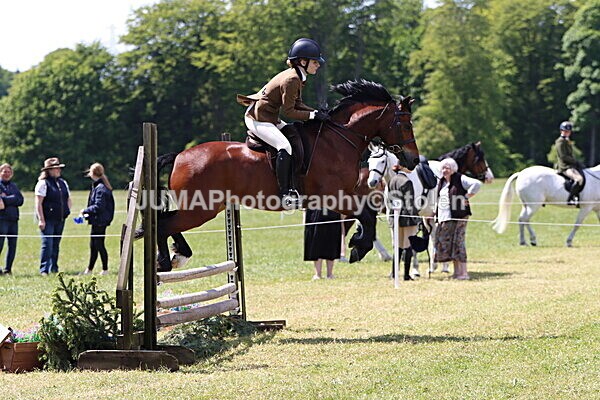 IMG_3727 - Working Hunter
