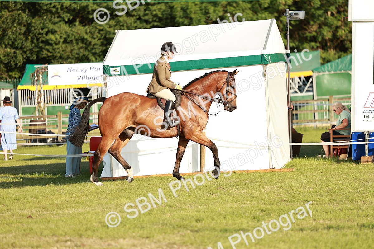 SBM_20434 - Class 117-119 - Sport Horse Working Hunter