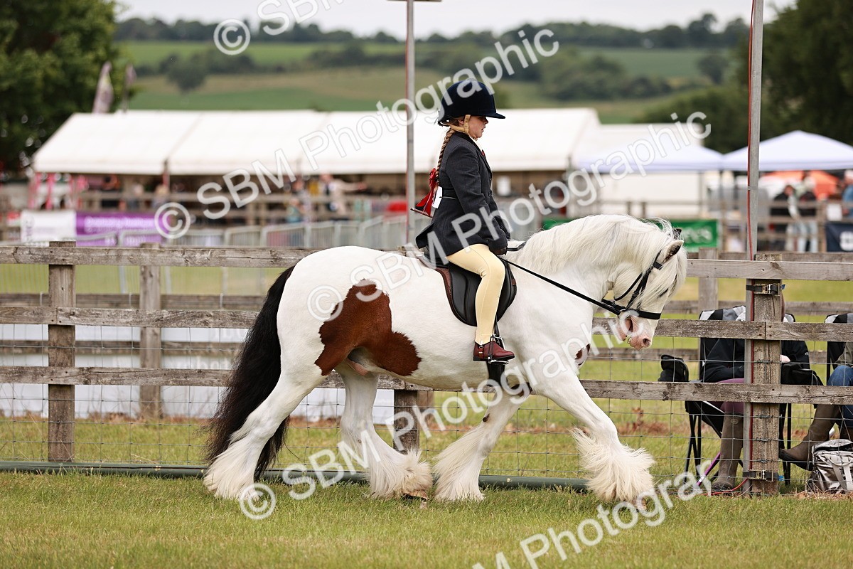 SBM_06117 - Class 39-41 TGCA In Hand and Ridden