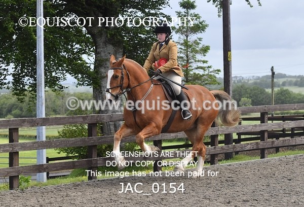 JAC_0154 - CHAMPIONSHIPS AND SUPREME