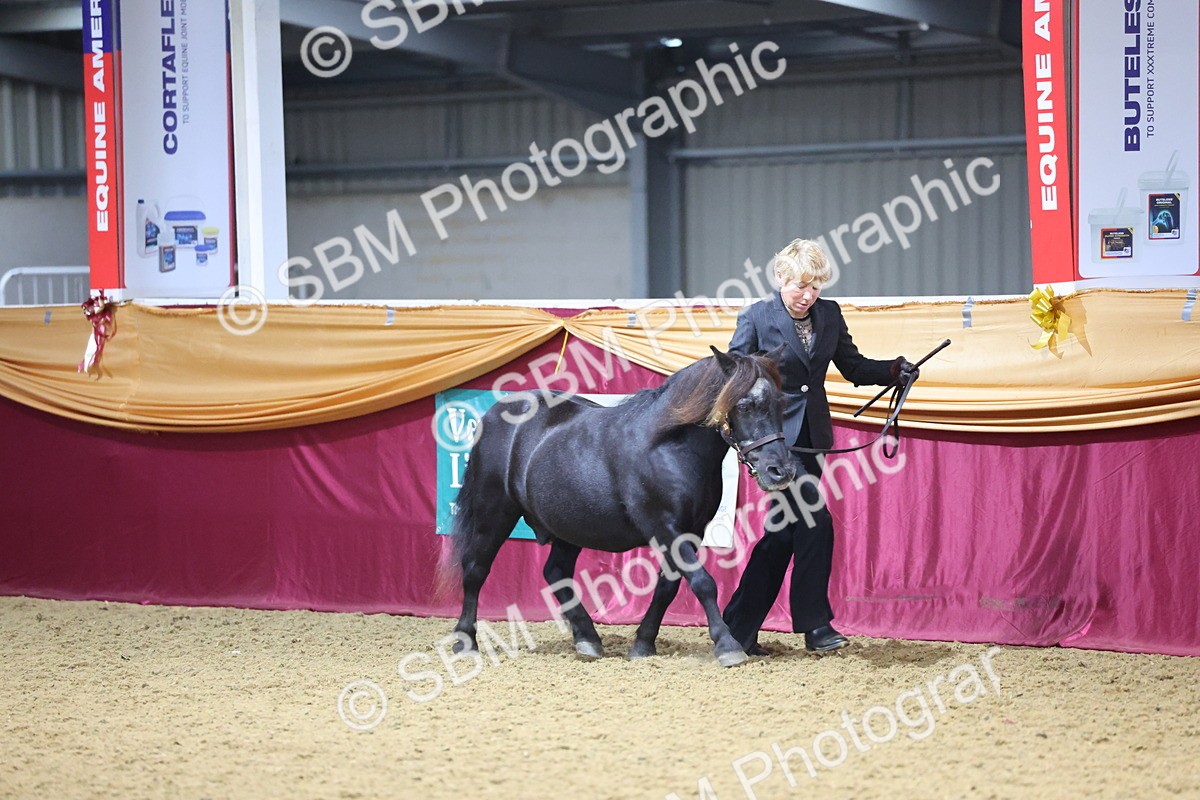 SBM_19630 - Class 901 - Supreme Final - IH Diamond