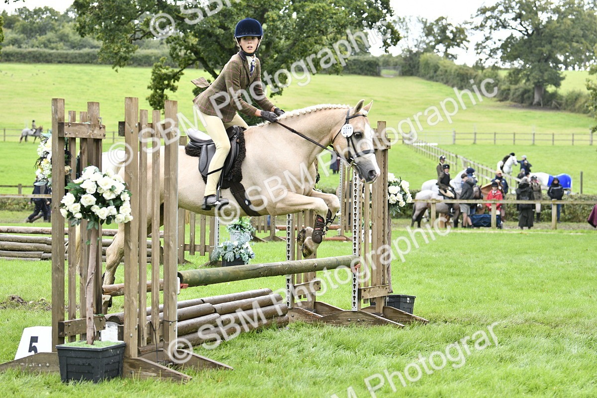 SBM_45594 - S33 - Working Hunter Pony