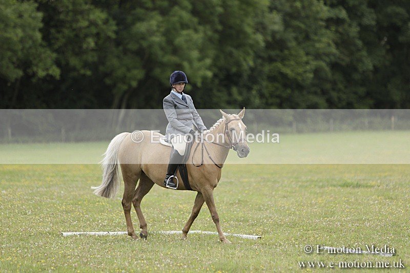 BVR160717-1203 - Class 2 Dressage 16/07/17