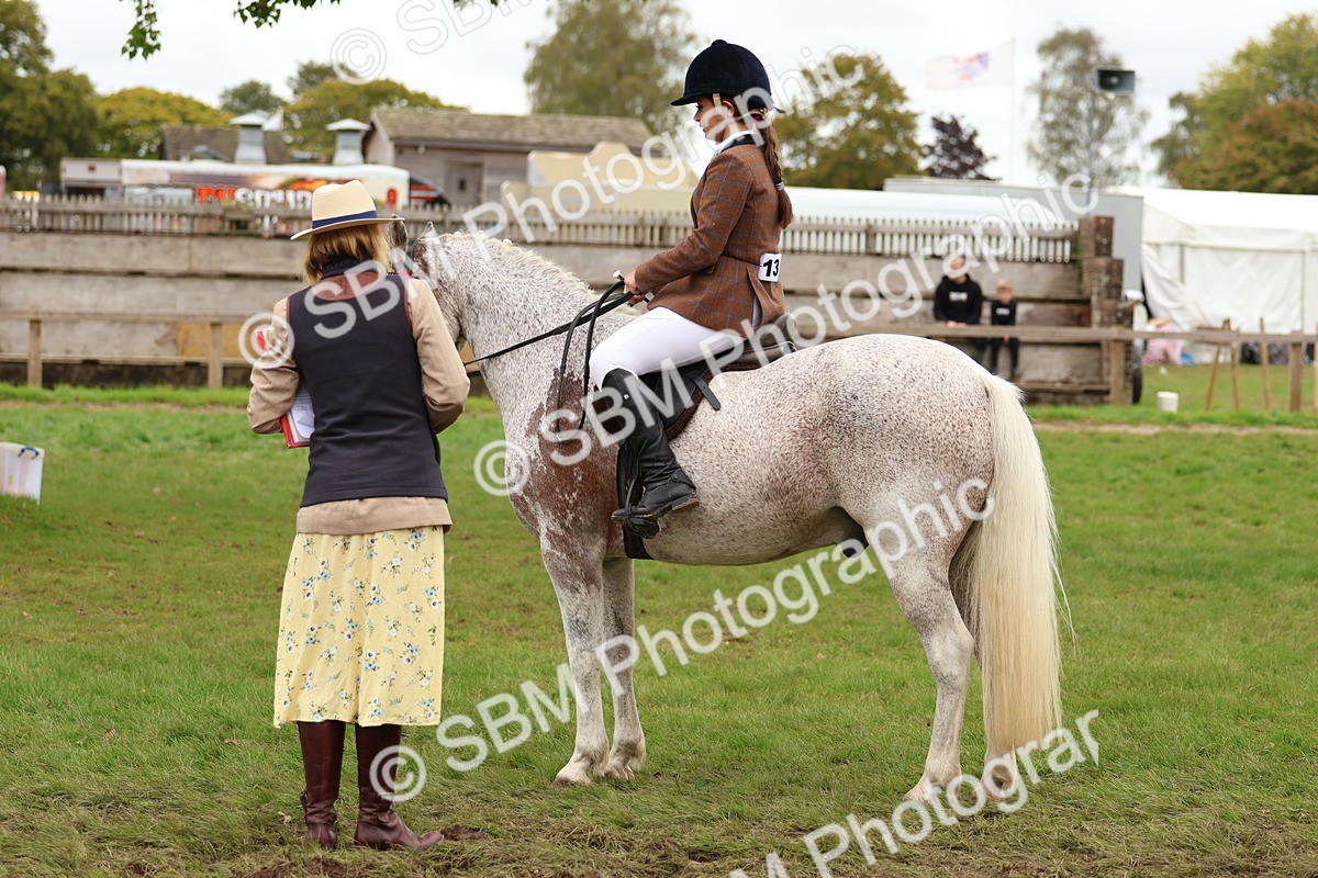 SBM_64535 - S58 - Coloured Pony Ridden