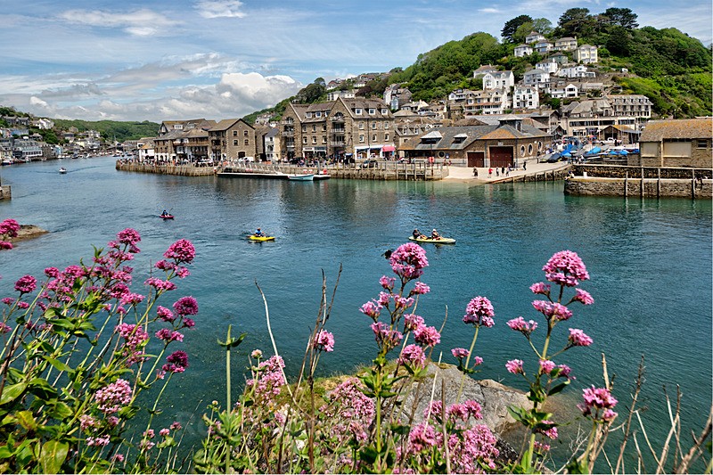 Looking across The River Looe and wild Valerian flowers