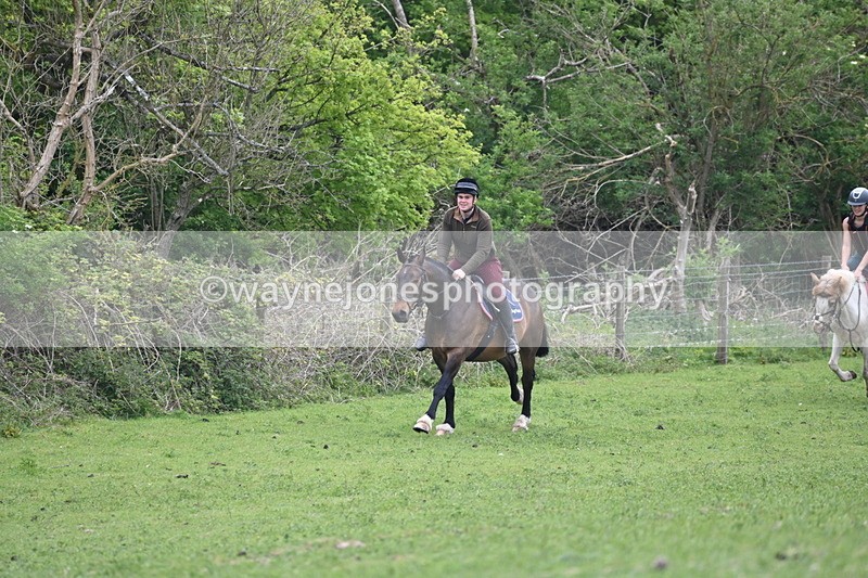 WJ6_3271 - A camera