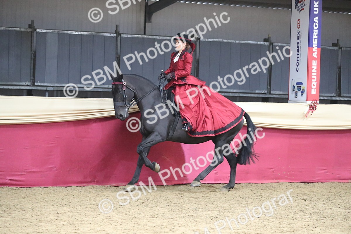 SBM_12152 - Class 107 Ridden Costume- Astride Adult (20+)