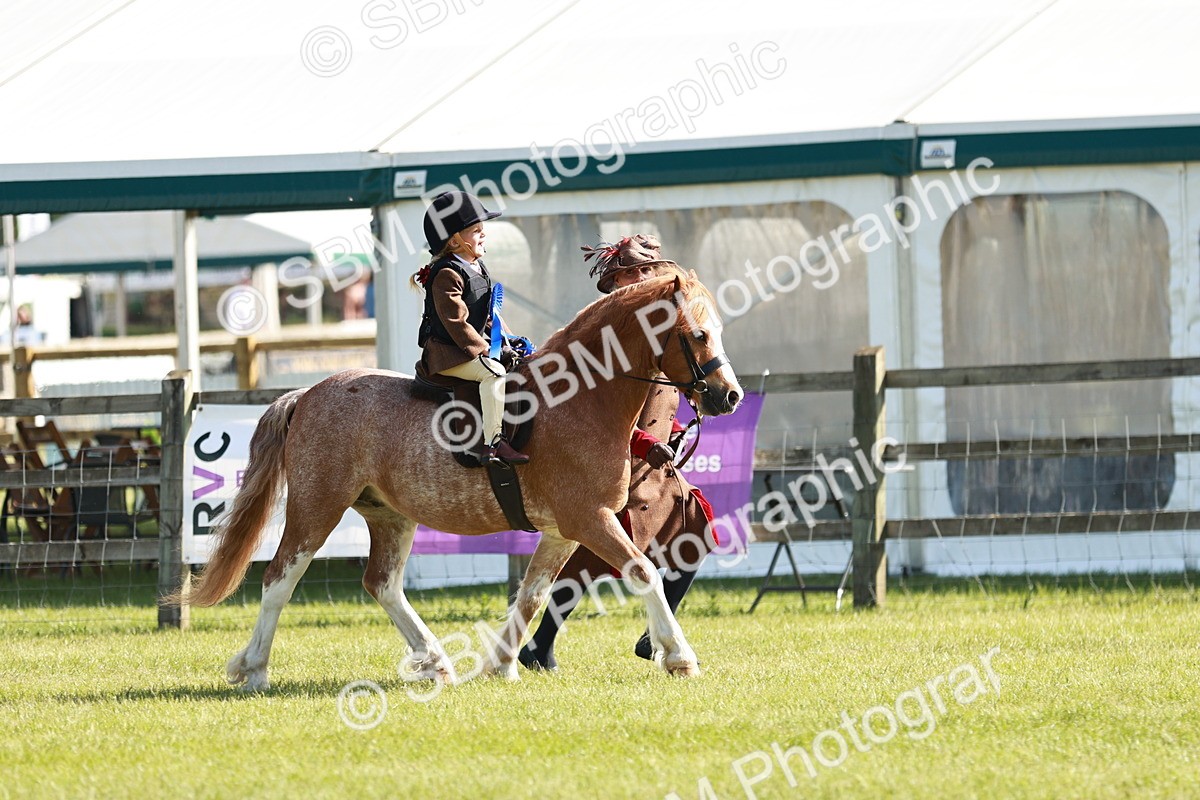 SBM_11347 - Class 106-107 - BSPS LIHS Working Sports Pony