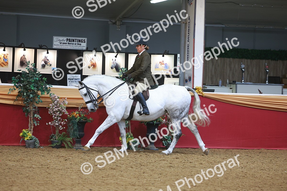SBM_10554 - Class 103 - HOYS Veteran Qualifier - Ridden Pre Vet