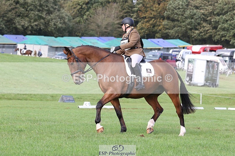 231019-142551-03977 - 634-PEMBROKE.MASTER.PIECE-Joanna.Dunn-DR