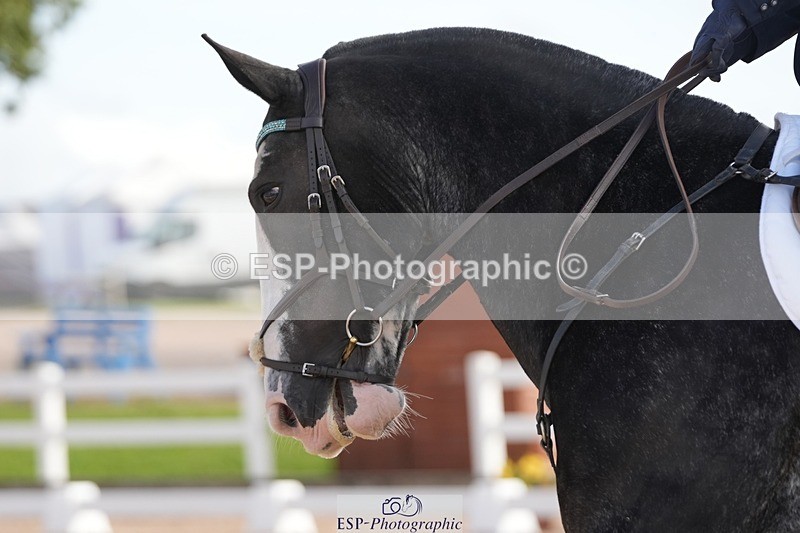 250906-105012-01563 - 061-christine.harrisonRed.Flair