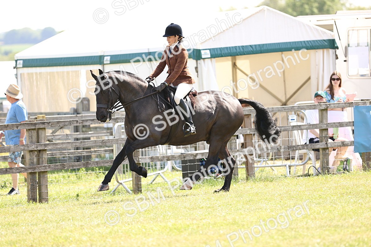 SBM_13765 - Class 77 - LIHS BSHA Rising Star Cobs