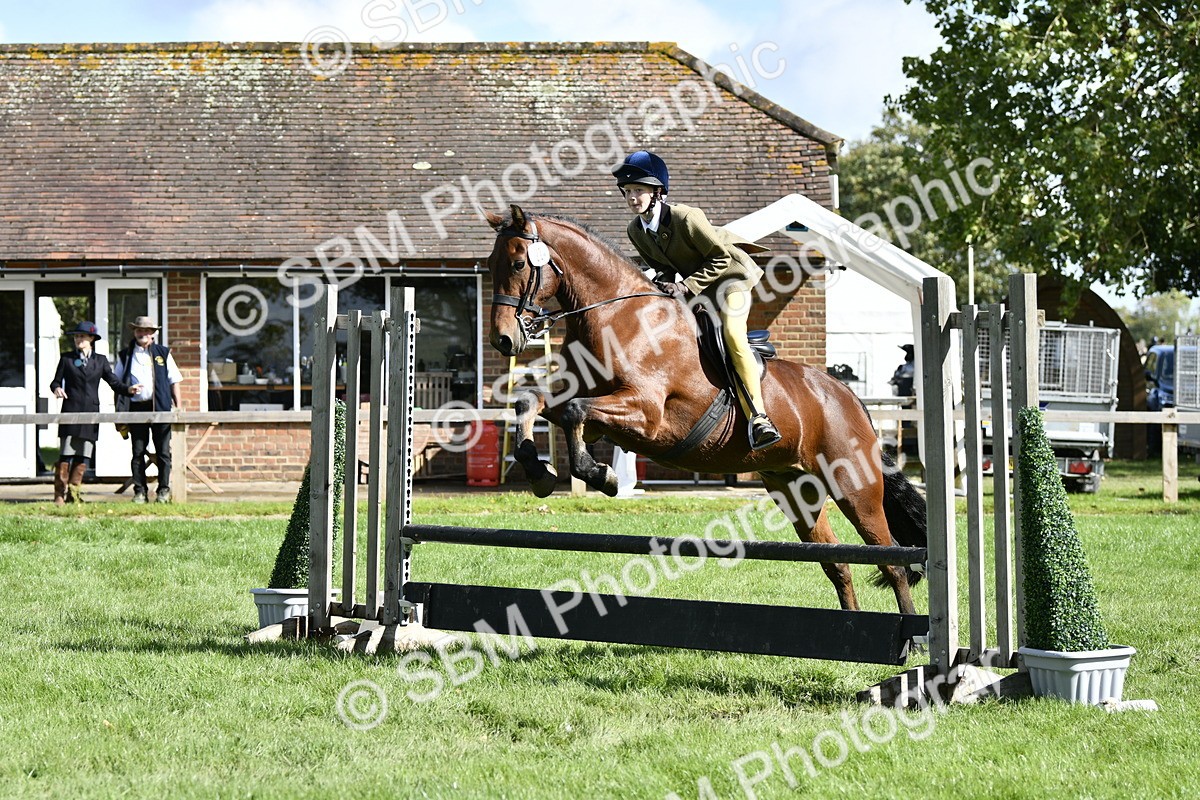 SBM_45699 - S33 - Working Hunter Pony