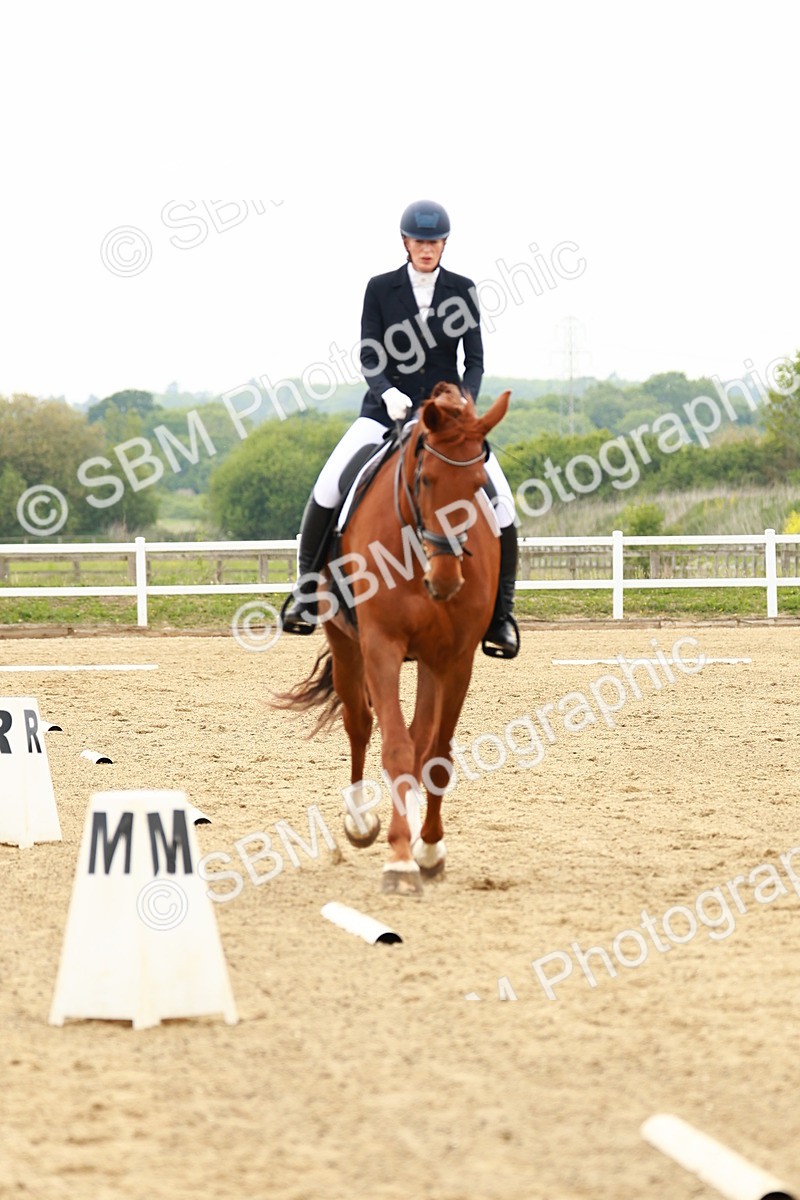 SBM_001374 - Class 7 - Novice 5