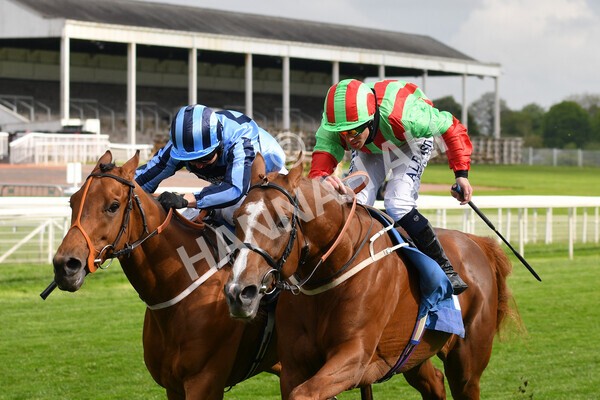 yr14052021r7-30 - Race 7 4.50pm Irish Thoroughbred Marketing Stakes