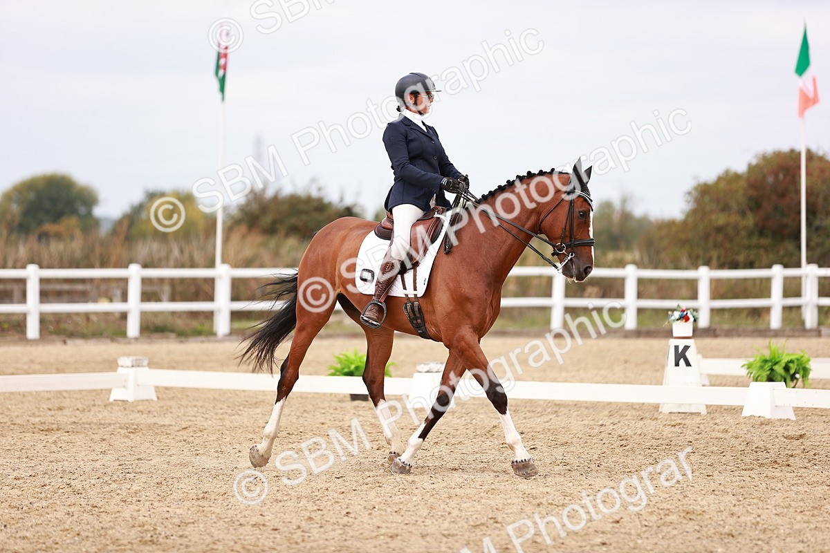 SBM_019237 - Class 20 - Medium 5