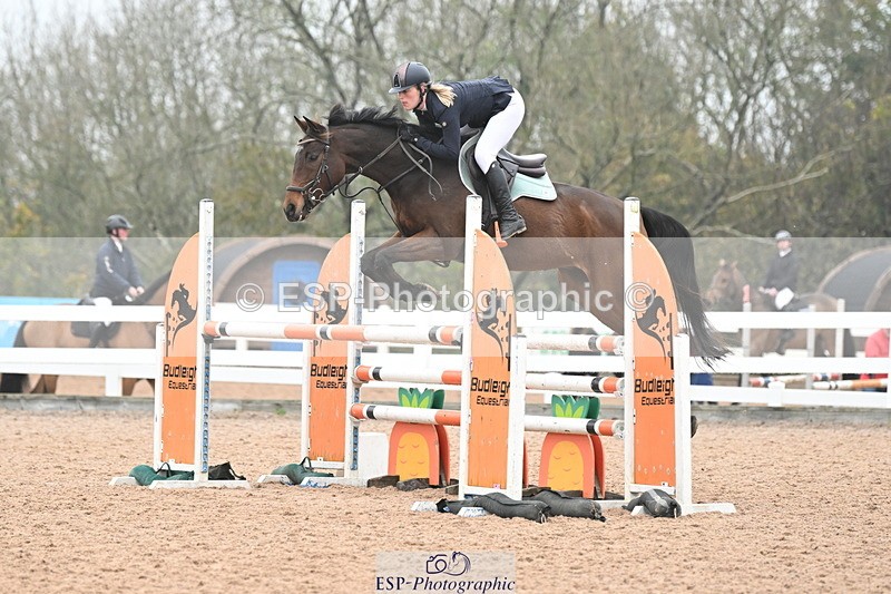 241102A-101316-03731 - SAT Cls 14 Blue Chip Joint Care Power Champ Quali