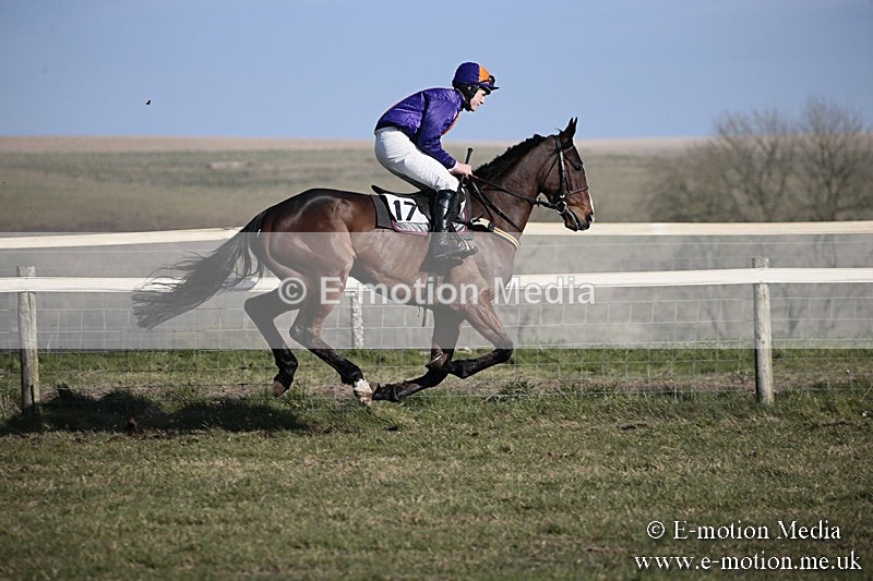 PtP 240218 344 - Vine & Craven Hunt Point-to-Point Barbury racecourse 24/02/18