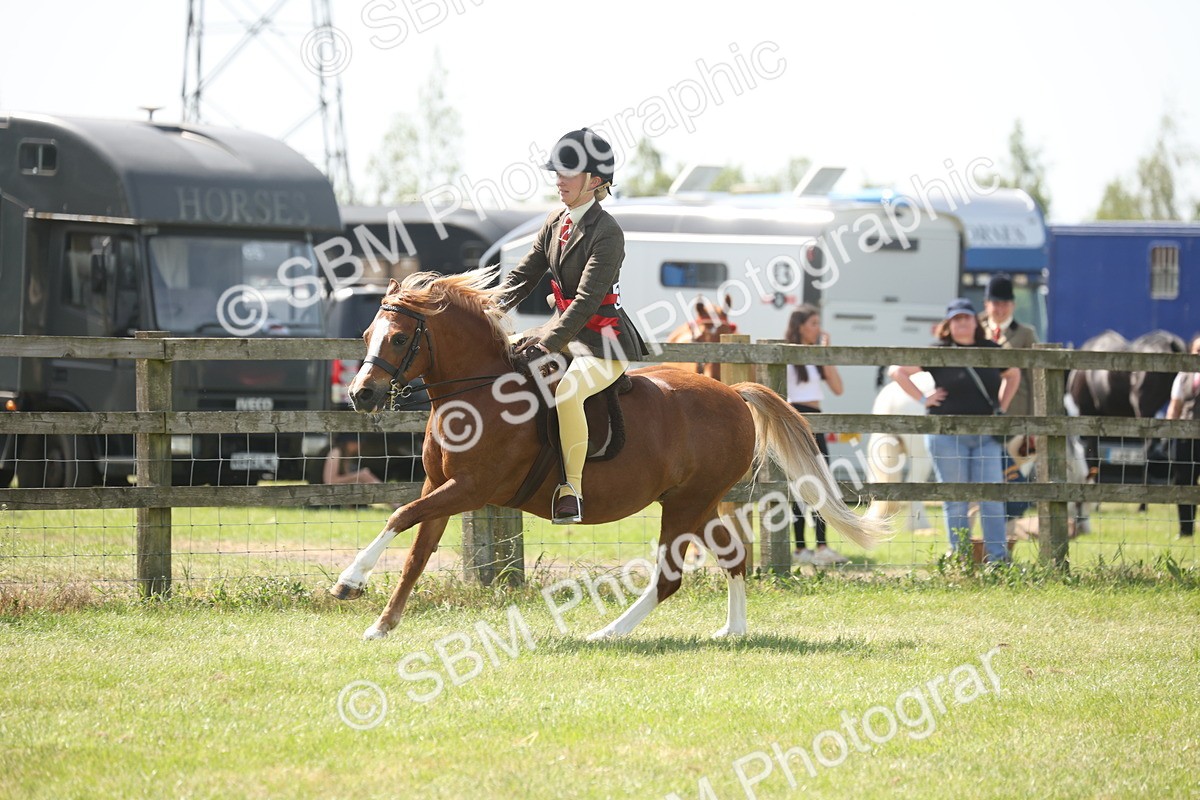SBM_07708