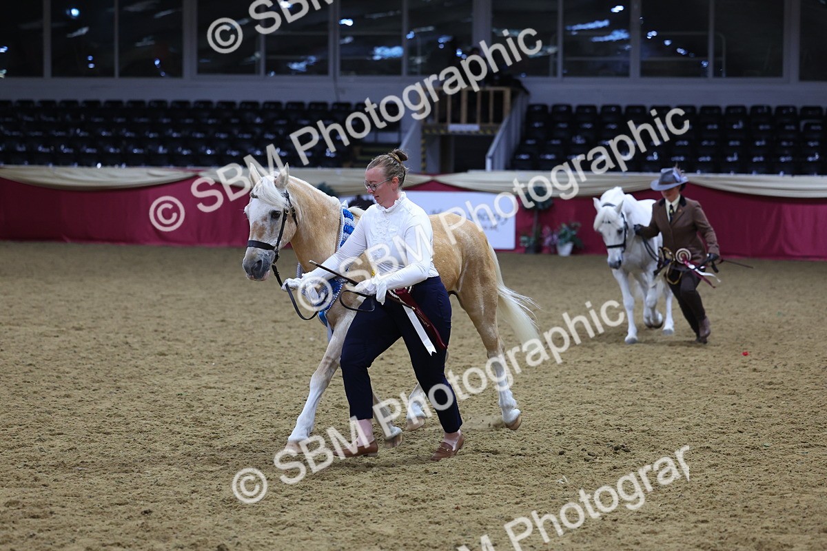 SBM_19828 - Class 901 - Supreme Final - IH Diamond