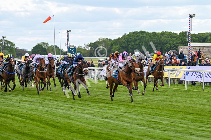 150526-Race 1-Zarathos-6887 - Race 1 1.45pm Yorkshire Equine Practice Handicap